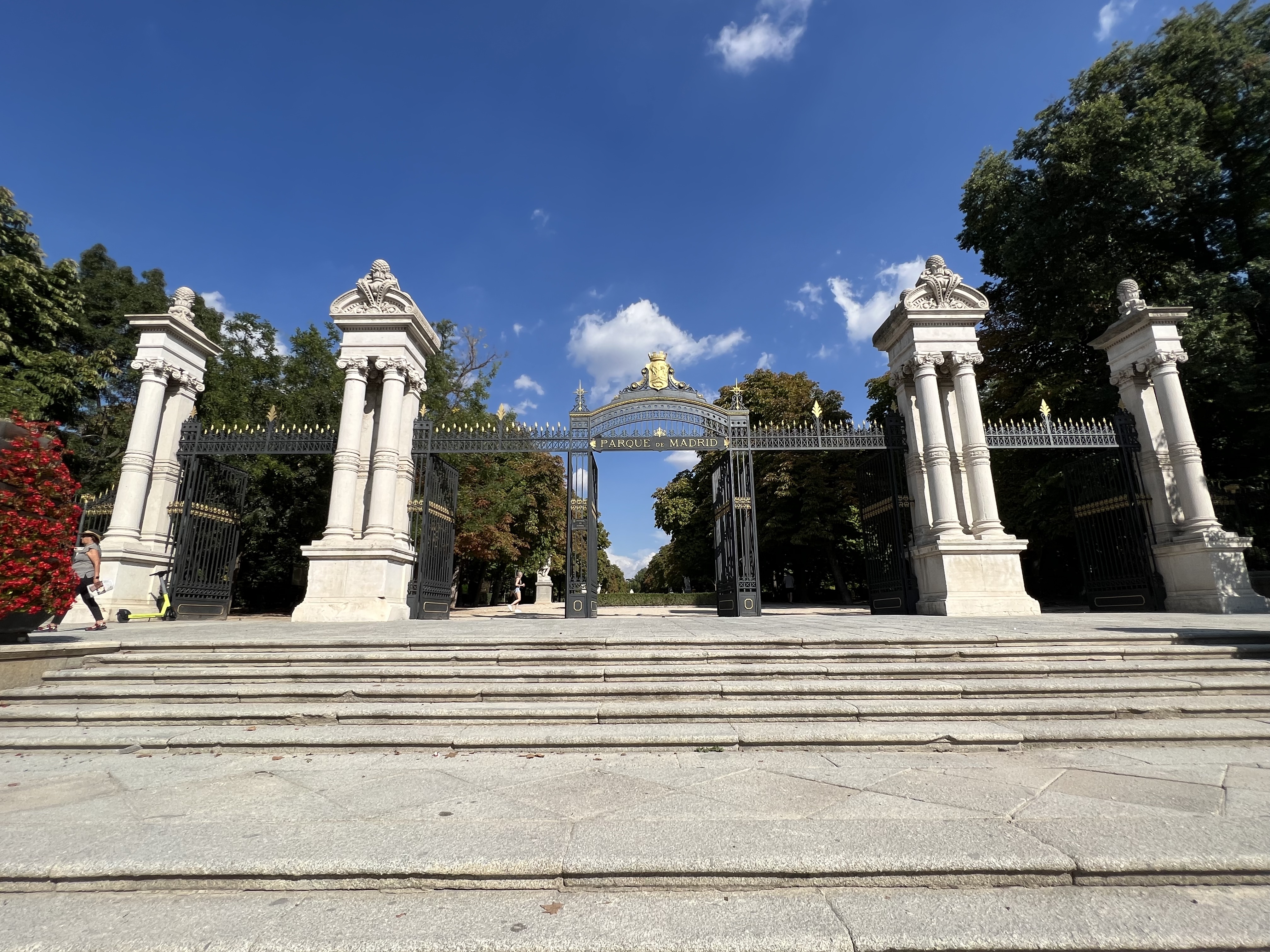 Vegetation Viewpoint - Photo spot near Estanque Grande del Retiro, Madrid